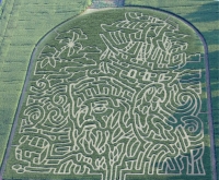 Pirate Corn Maze