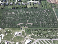 cubs world champions corn maze