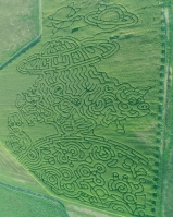 alien ufo corn maze