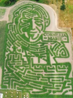 cornelia marie corn maze