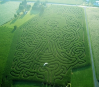 i believe corn maze