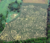 stickley corn maze