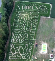 goat corn maze