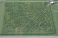 train corn maze 