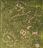 paul bunyan corn maze