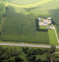 Noah's Ark Corn Maze 