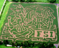 FSI Corn Maze 