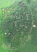 traders village corn maze