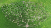 traders village corn maze