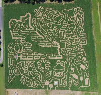 Georgia corn maze