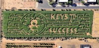 vertuccio corn maze