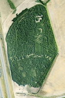 Washington corn maze