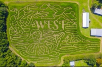 duck corn maze