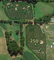 USA 250 corn maze