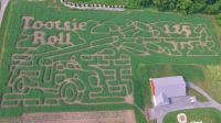 tootsie roll corn maze