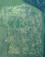 castle under the sea corn maze