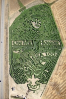 boy scout corn maze