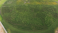wild west corn maze