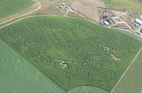 wild west corn maze