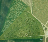 Cowboys and aliens Corn Maze 