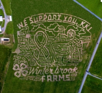 winterbrook corn maze