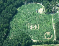 FSI Corn Maze 