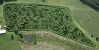 Truck Corn Maze 