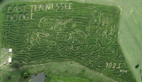 Jeep Corn Maze 