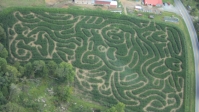Farm Animals Corn Maze