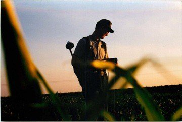 make a corn maze