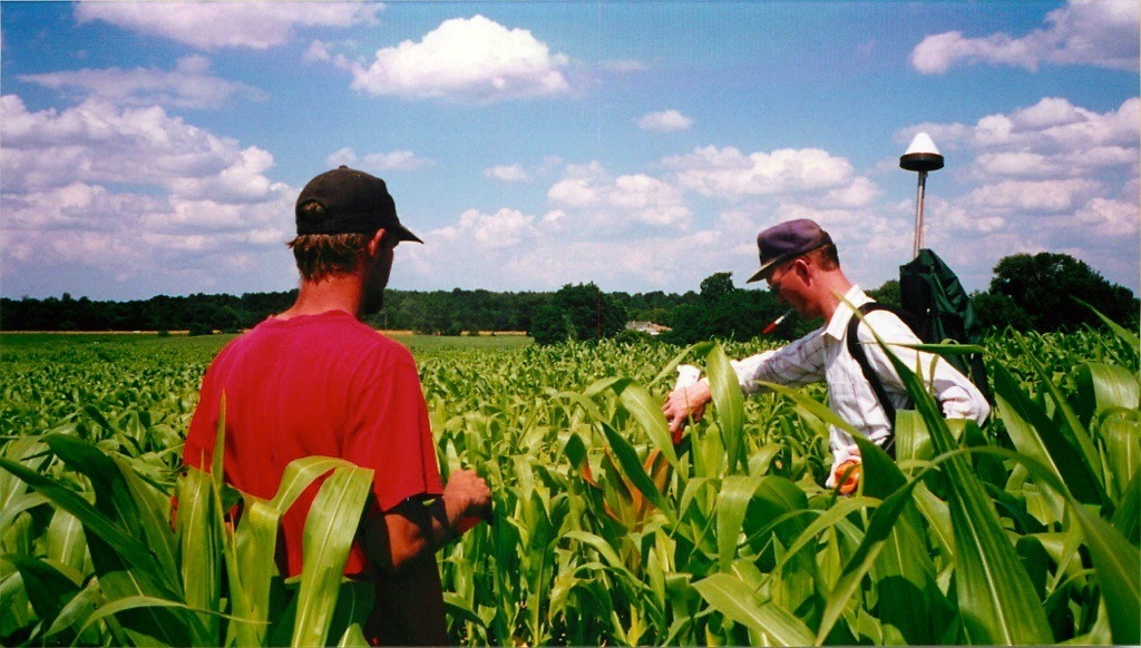 make a corn maze