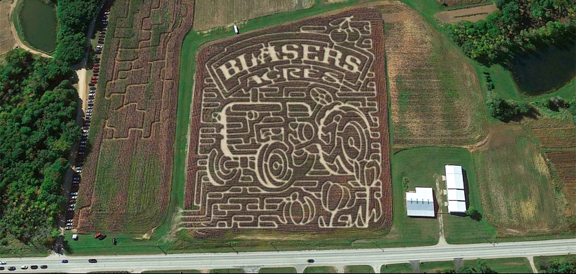 MURRAL Maze top グリーン Gallery – The Corn Maze Guy