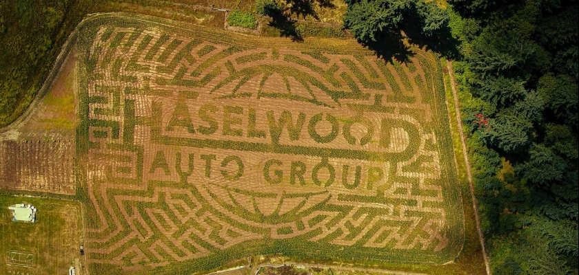 corn maze pumpkin patch farm mazeplay minder