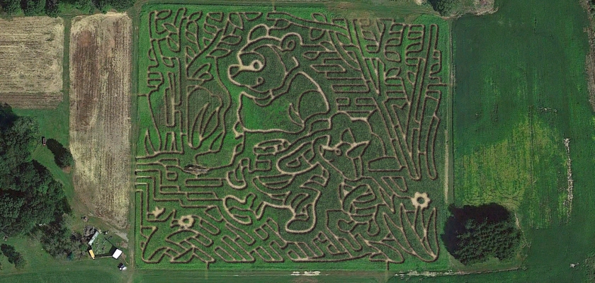 MazePlay - Maize Valley Farm Market
