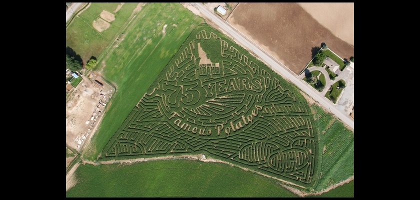 MazePlay Wild Adventure Corn Maze